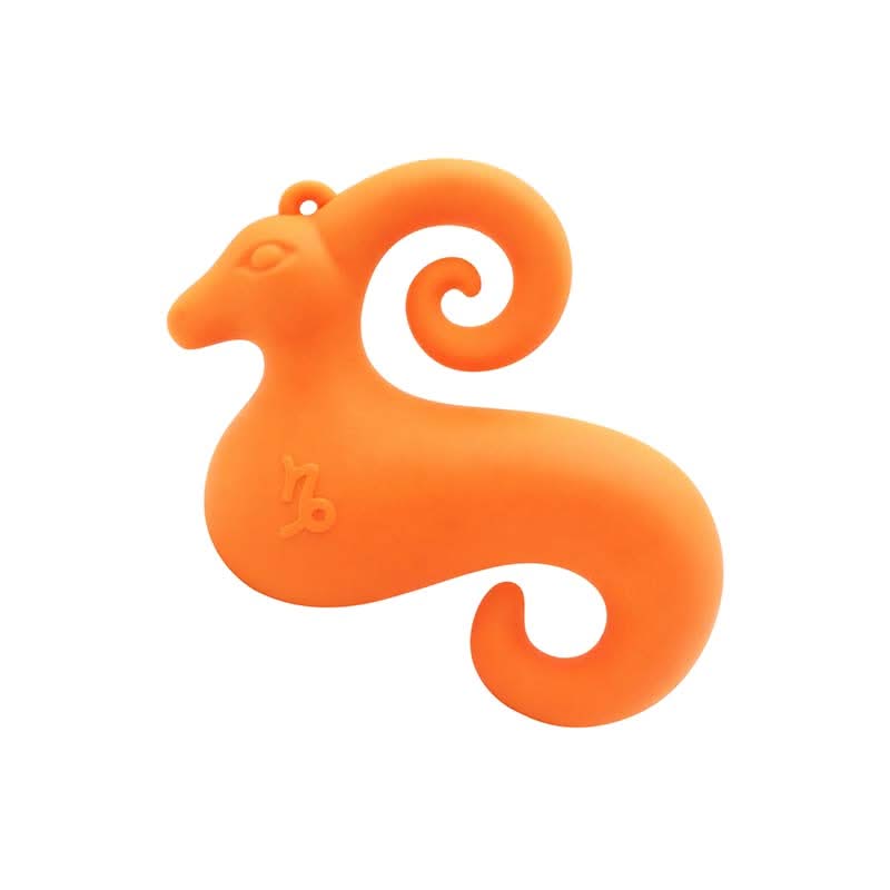 Capricorn Mini Vibe